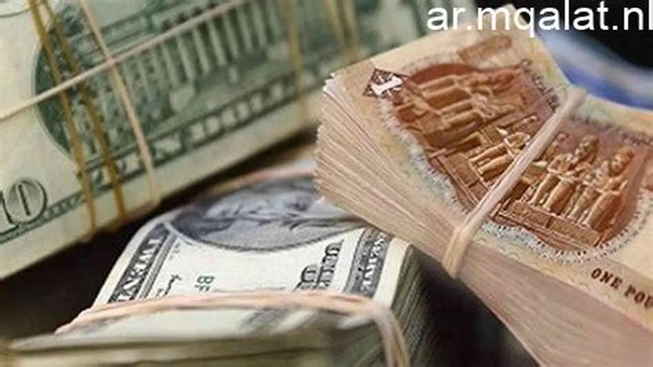 استقرار الصرف.. أسعار تداول الدولار مقابل الجنيه داخل البنوك المصرية اليوم